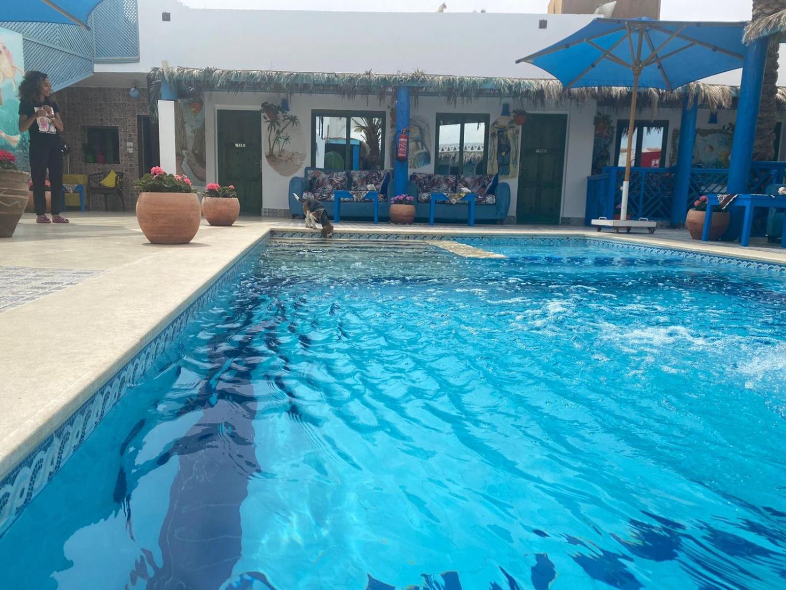 Chillax Dahab Hotel Bagian luar foto